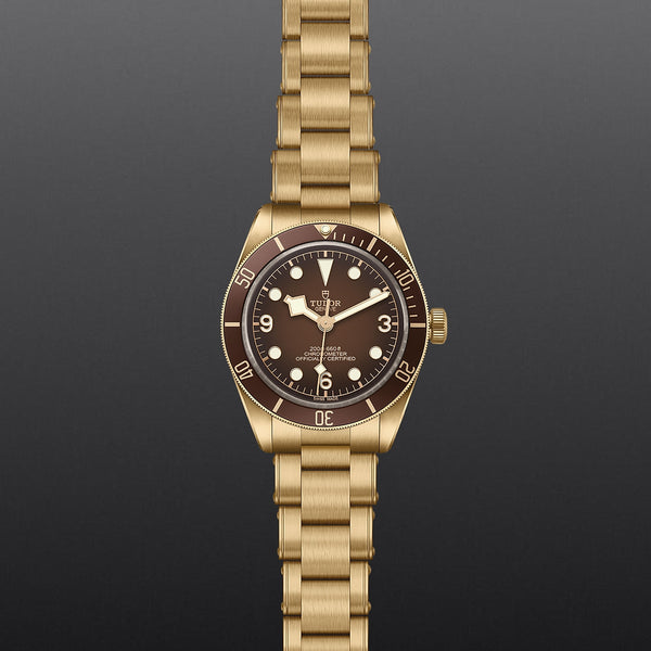 TUDOR Black Bay Fifty-Eight