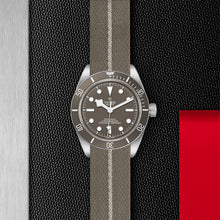 Load image into Gallery viewer, TUDOR Black Bay Fifty-Eight 925
