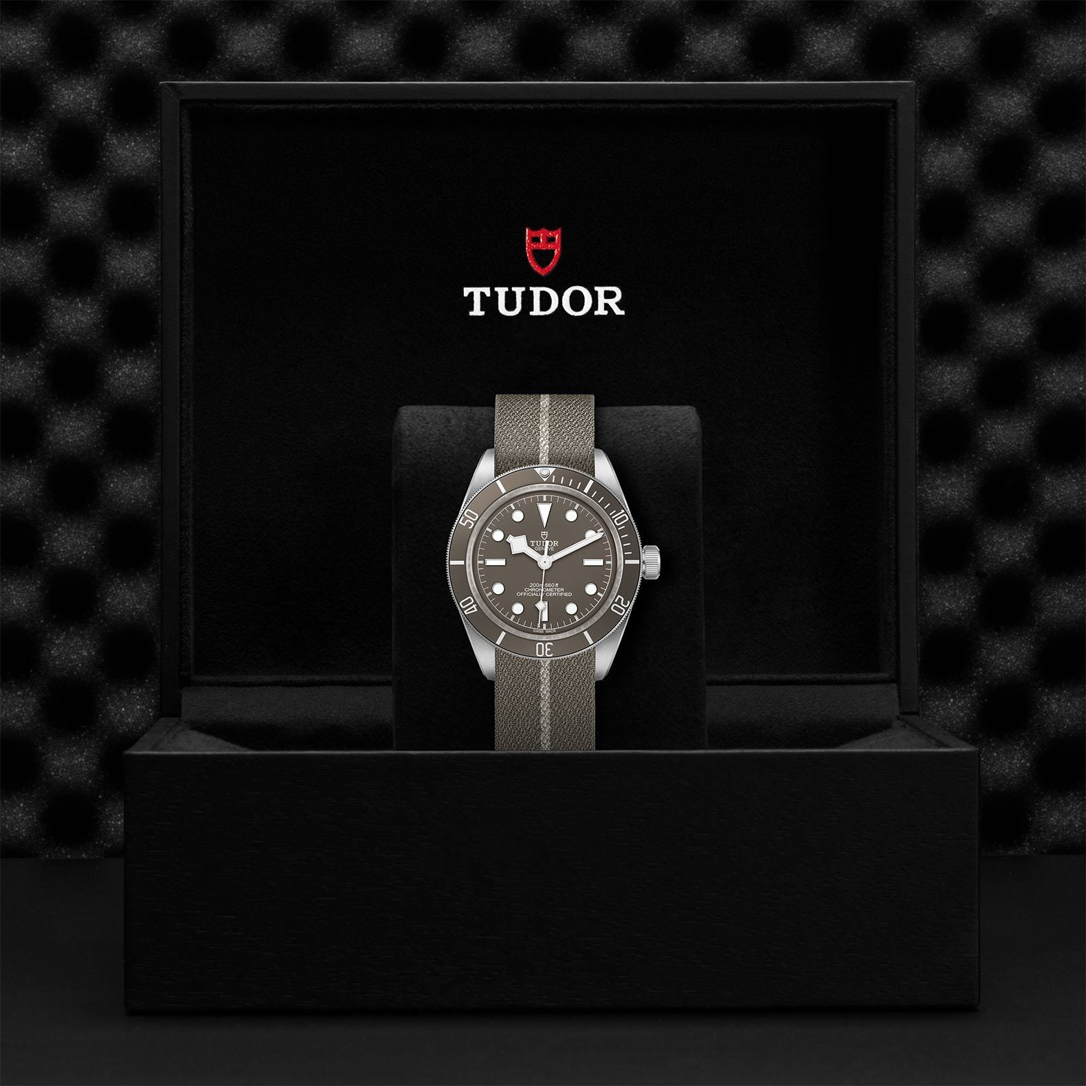 TUDOR Black Bay Fifty-Eight 925