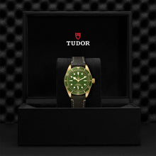 Load image into Gallery viewer, TUDOR Black Bay Fifty-Eight 18k
