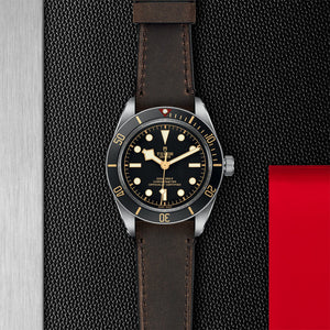 TUDOR Black Bay Fifty-Eight