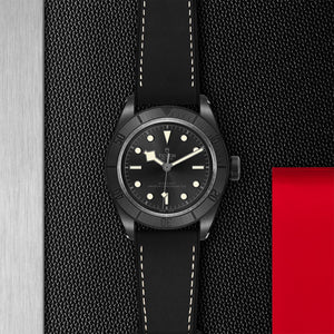 TUDOR Black Bay Ceramic