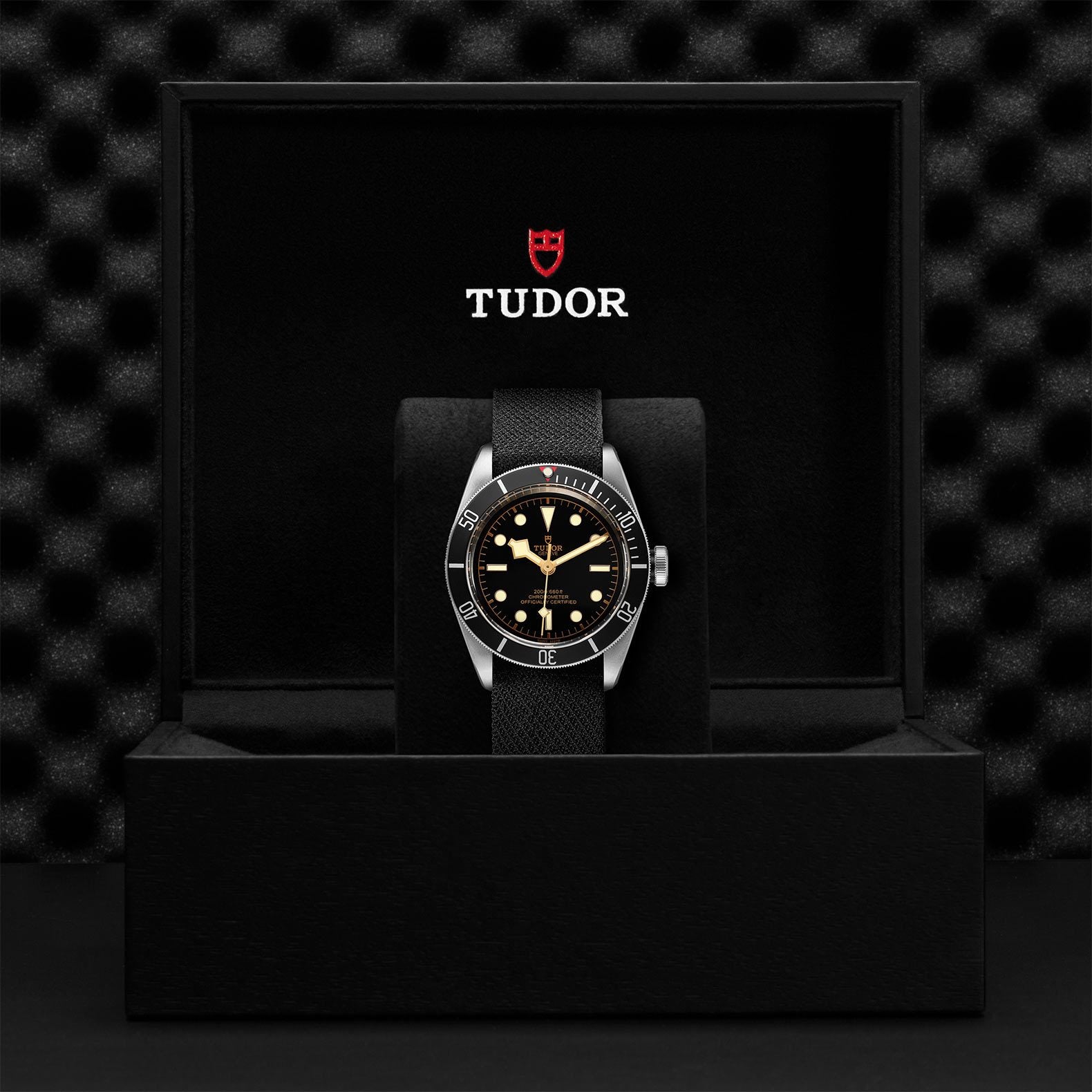 TUDOR Black Bay