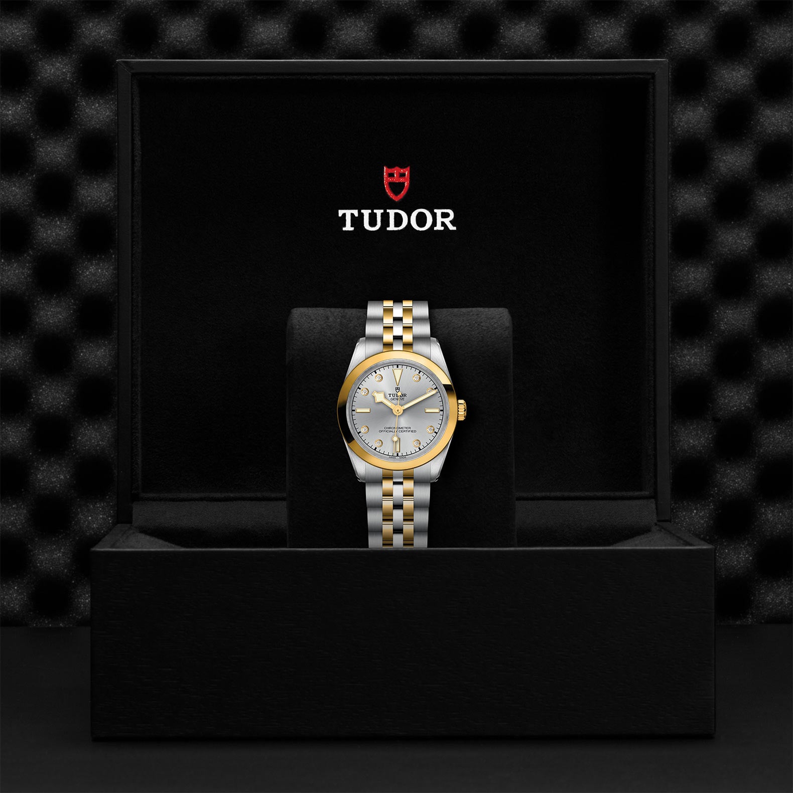 TUDOR Black Bay 31 S&G