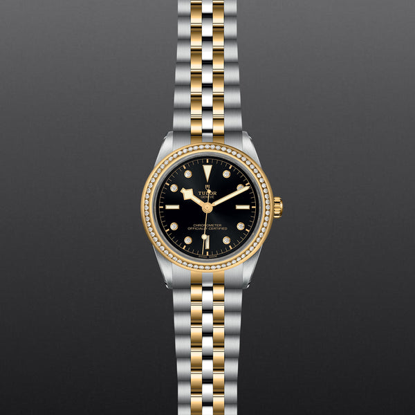 TUDOR Black Bay 39 S&G