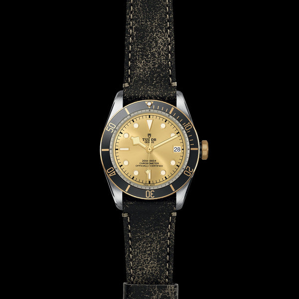 TUDOR Black Bay S&G