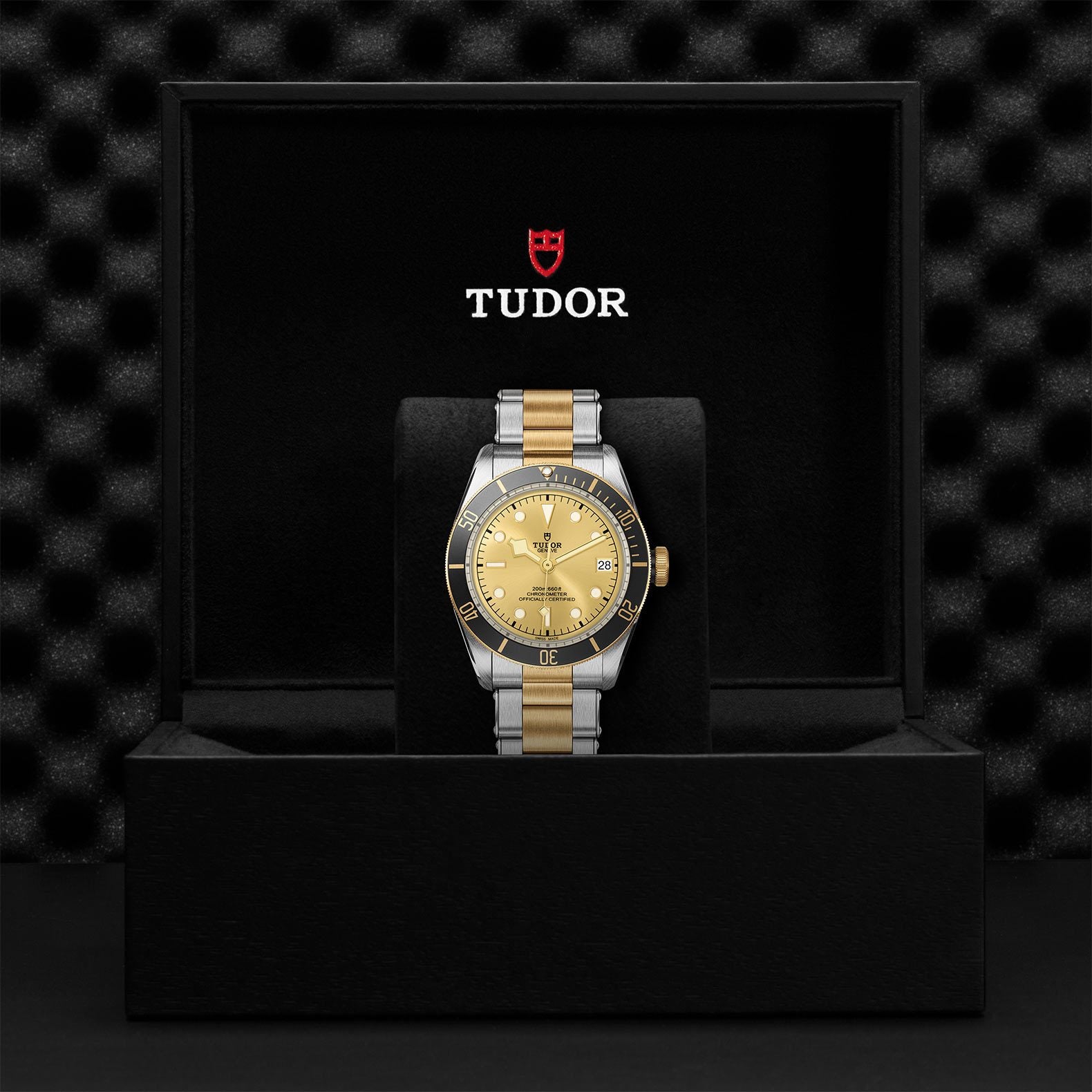 TUDOR Black Bay S&G