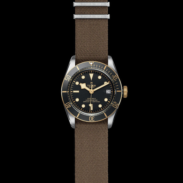 TUDOR Black Bay S&G