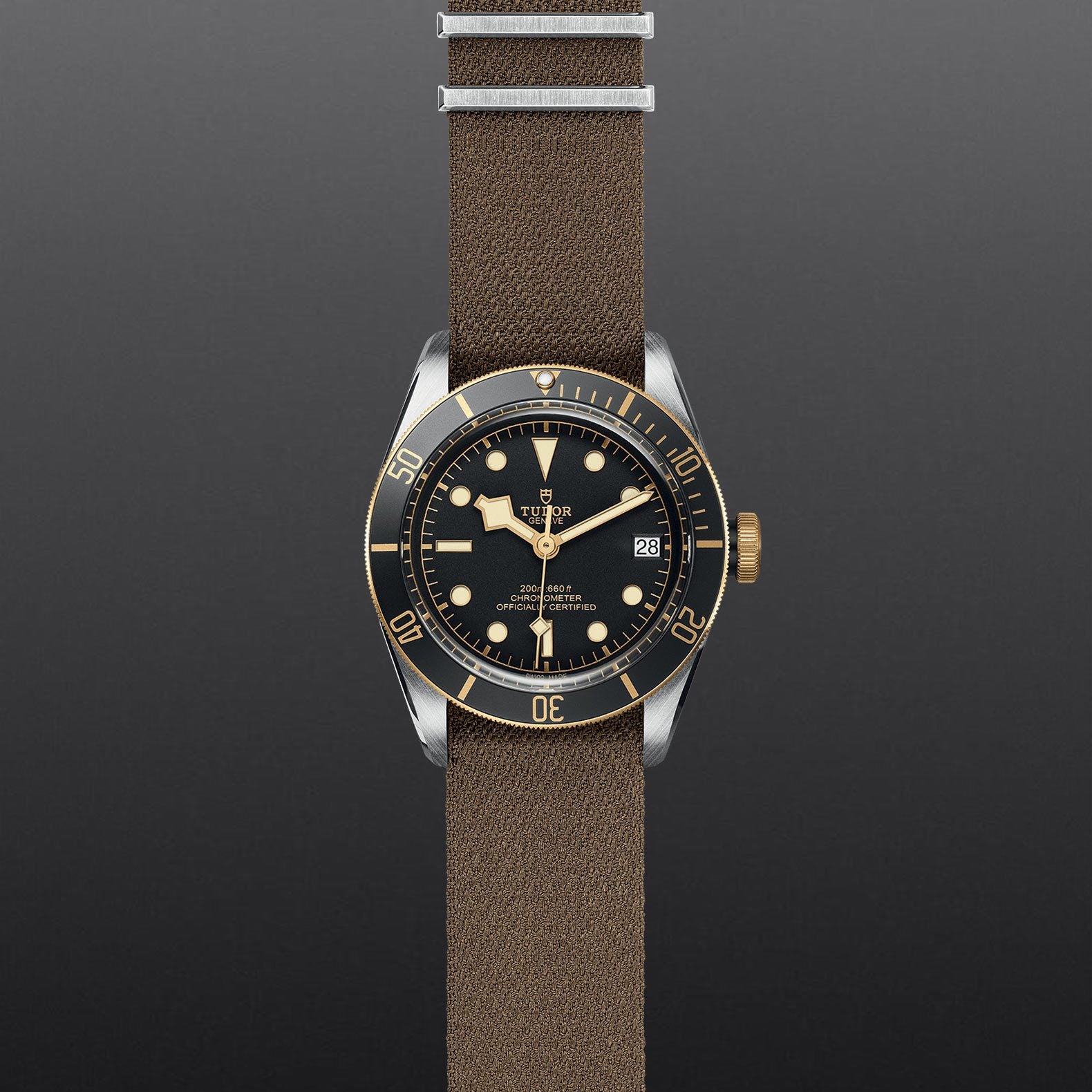 TUDOR Black Bay S&G