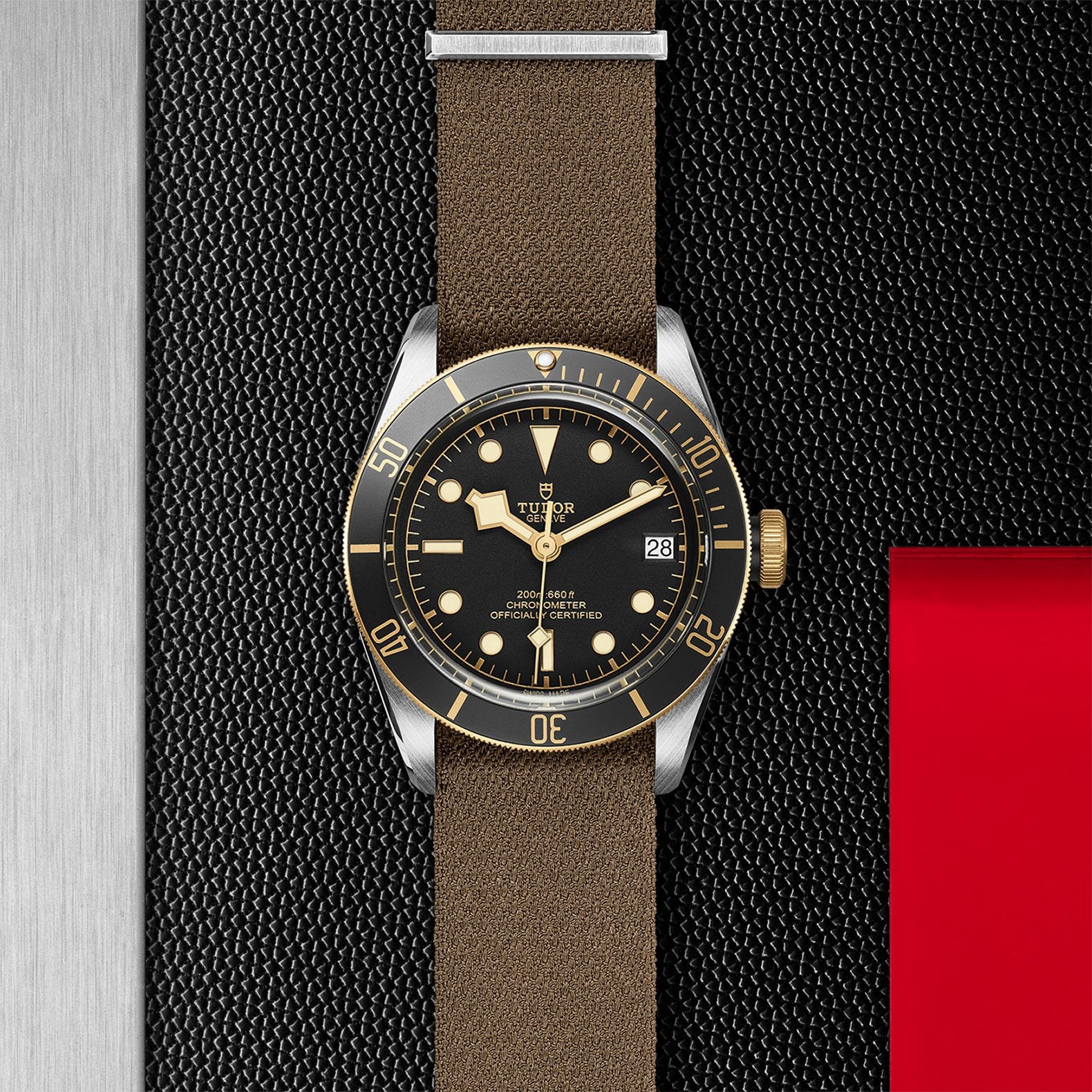 TUDOR Black Bay S&G