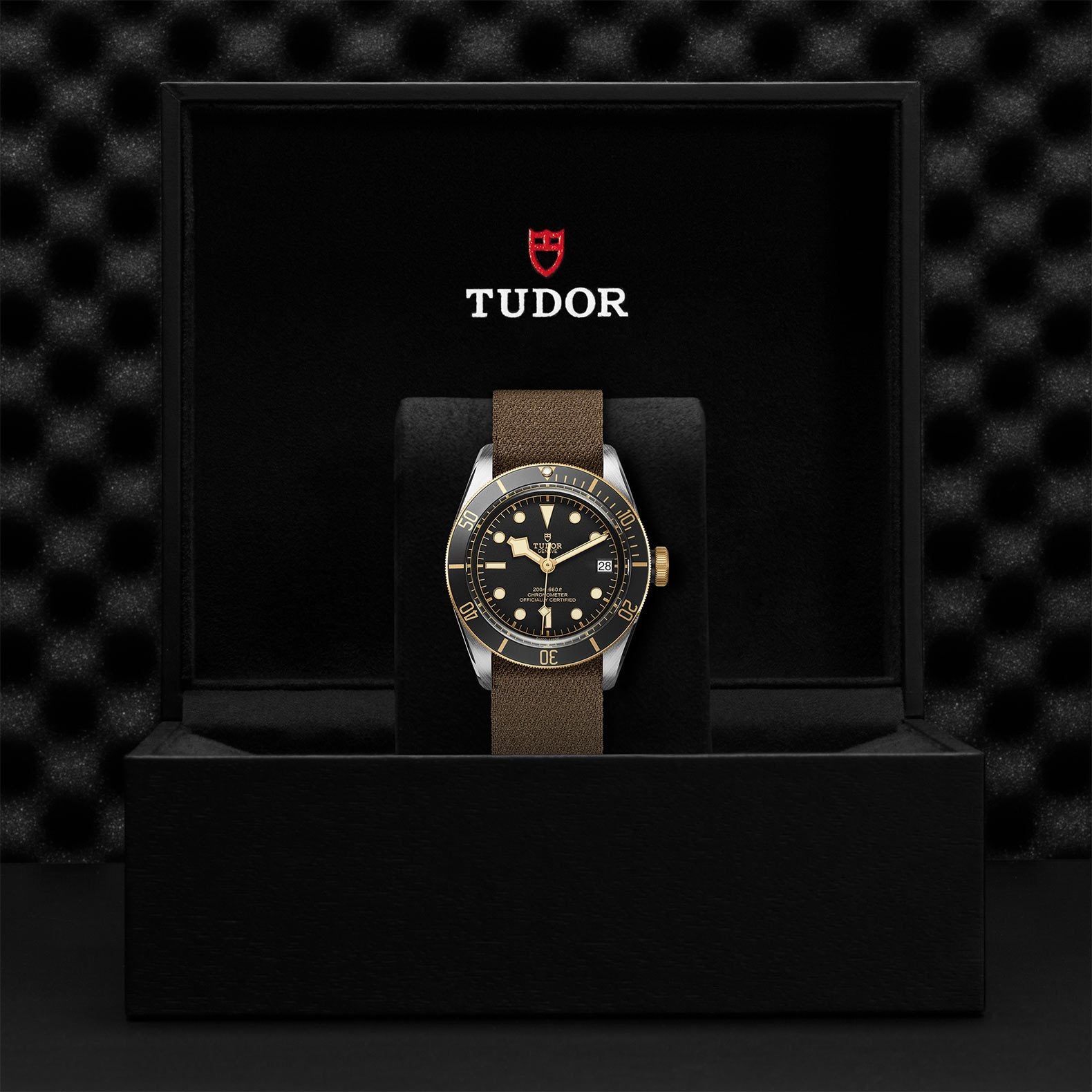 TUDOR Black Bay S&G