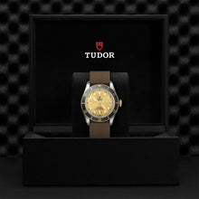 Load image into Gallery viewer, TUDOR Black Bay S&amp;G
