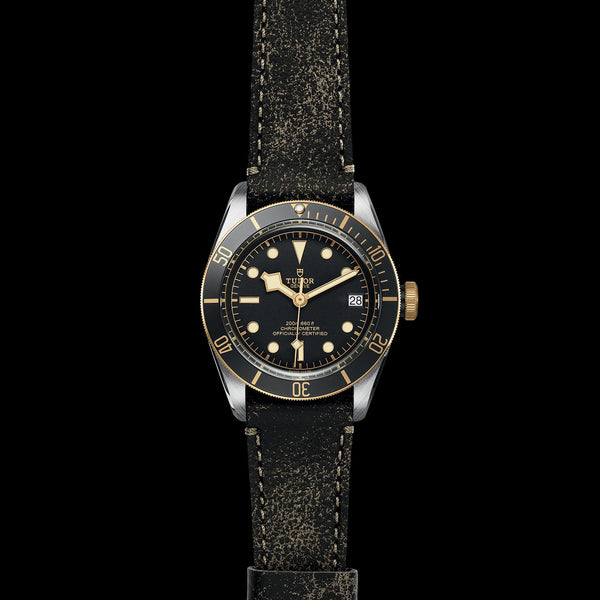 TUDOR Black Bay S&G