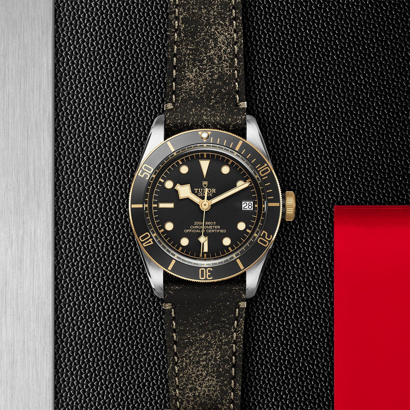 TUDOR Black Bay S&G